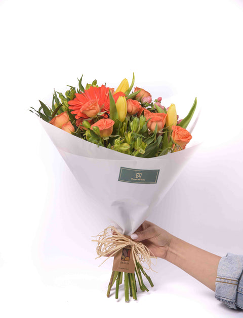 Flores Ocoa
